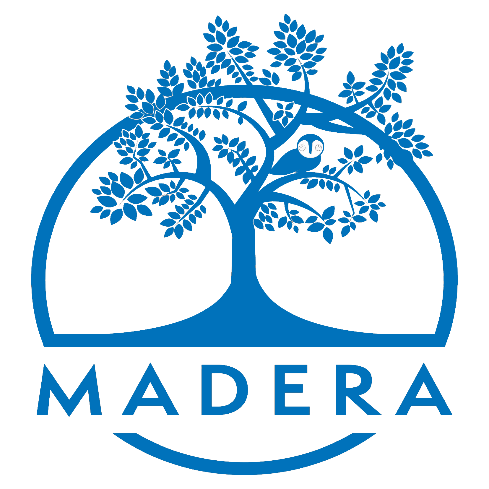 Madera Elementary School
